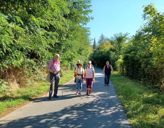 Spätsommerliche Harlytour